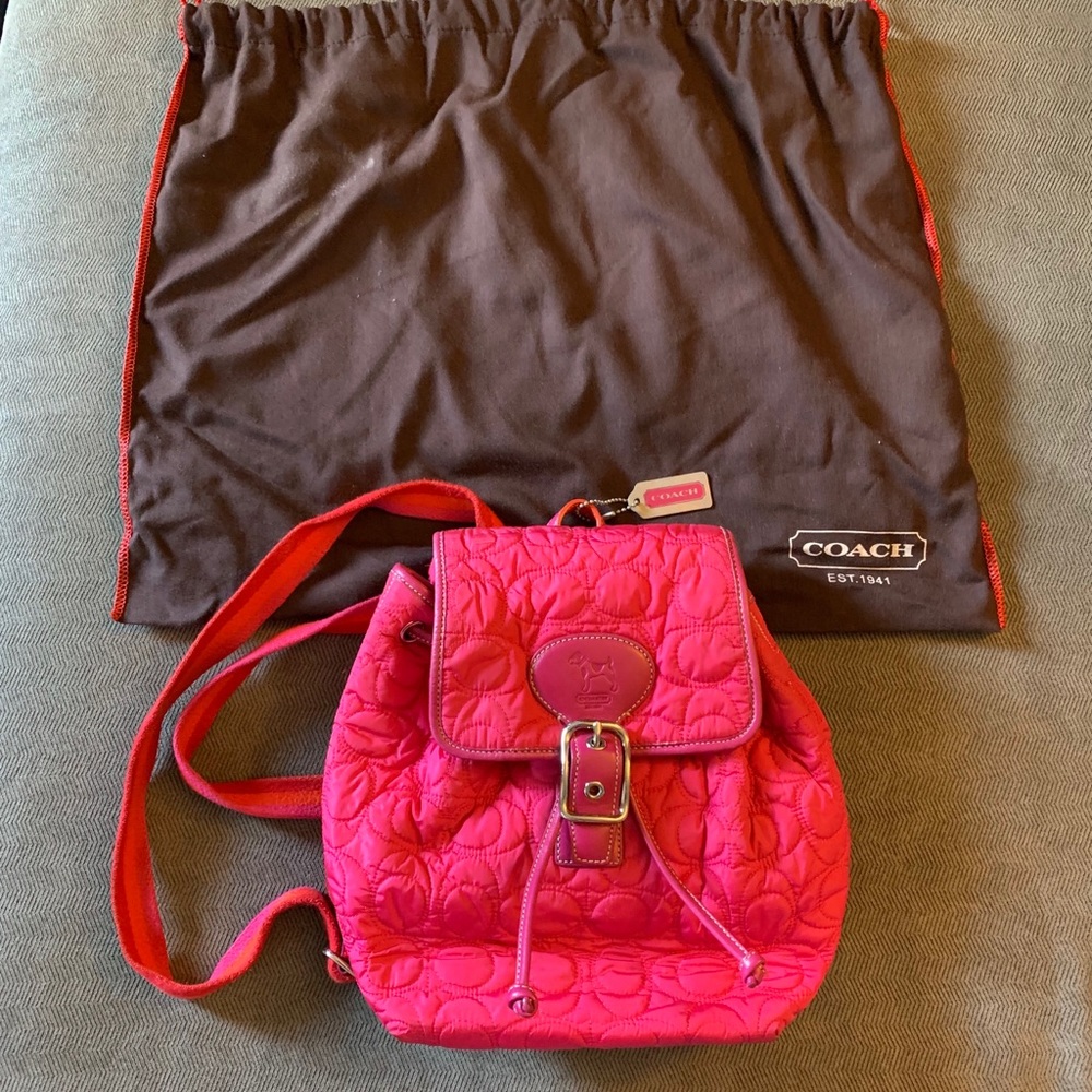 Pink Coach back
